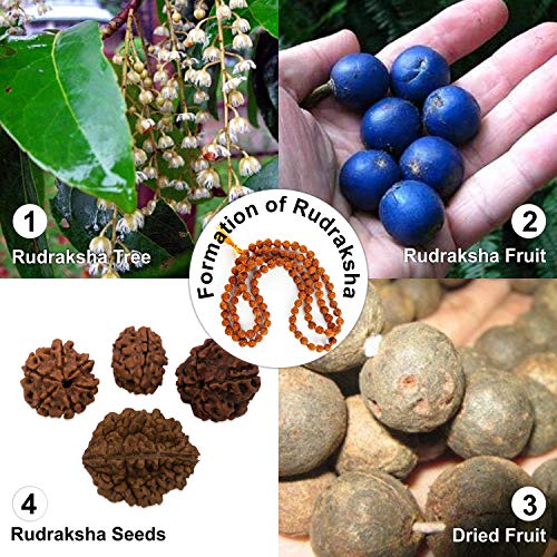 Wonder Care Authentic Rudraksha Mala | 5face Genuine Himalayan Rudraksha bracelet | Rudraksha Bead| Beaded Bracelets for Men | Pendant Necklace with Bead Bracelets - color: 8mm mala +2 bracelet