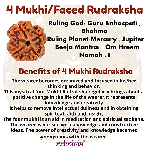 Rudraksha Bracelet for Men & Women's 2 Face, 3 Mukhi, 4 Mukhi, 5 Face, 6 Mukhi, 7 Mukhi, 8 Mukhi, 9 Mukhi, 10 Mukhi, 11 Mukhi Himalayan Rudraksha Beads Wrist Band for Yoga, Meditation, Healing - style: 4 Mukhi - Four Faced