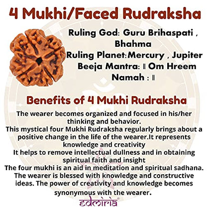Rudraksha Bracelet for Men & Women's 2 Face, 3 Mukhi, 4 Mukhi, 5 Face, 6 Mukhi, 7 Mukhi, 8 Mukhi, 9 Mukhi, 10 Mukhi, 11 Mukhi Himalayan Rudraksha Beads Wrist Band for Yoga, Meditation, Healing - style: 4 Mukhi - Four Faced