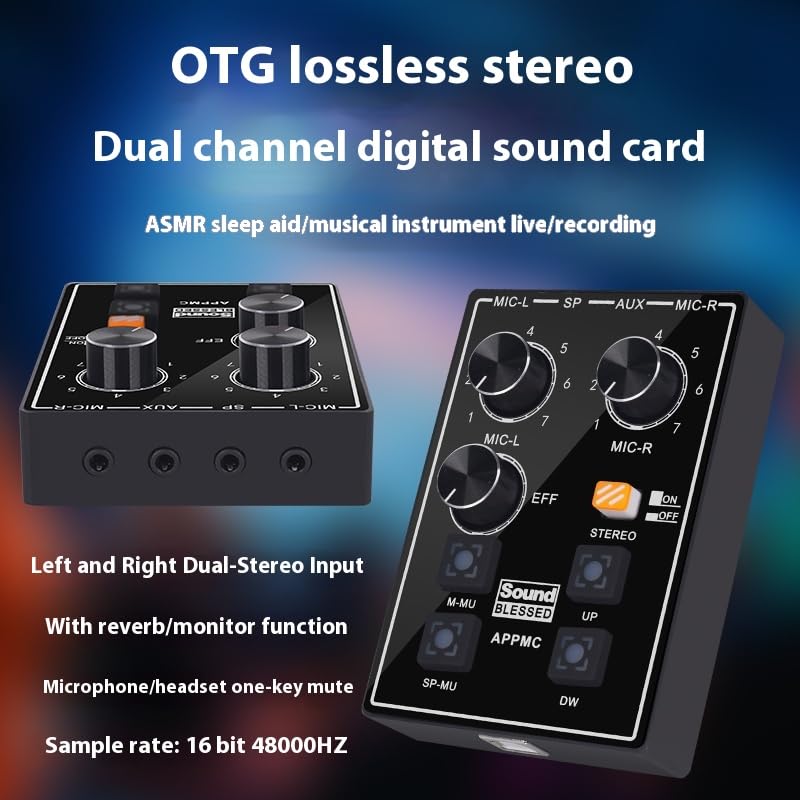 CH02 ASMR Sleep Aid Hoping Sound Control Instruments Left and Right Binaural Sound Card Immersive Recording for ASMR Live, Eat, Recording, Interview, Musical Instruments and More